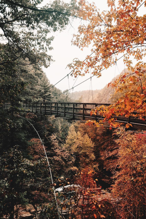 inthemiddleofthemess:abovearth:Tallulah Gorge State Park by...