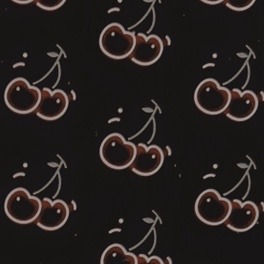 ravencycle