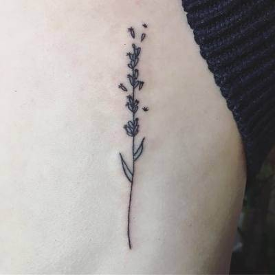 90 Free Download Simple Tattoo Lavender HD Tattoo Images