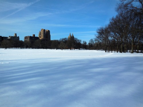 wondersofcentralpark
