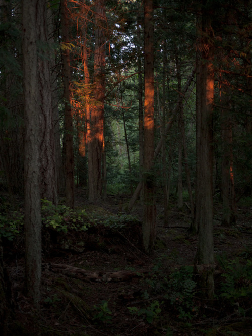 jessebalmer:Pender Island, BC