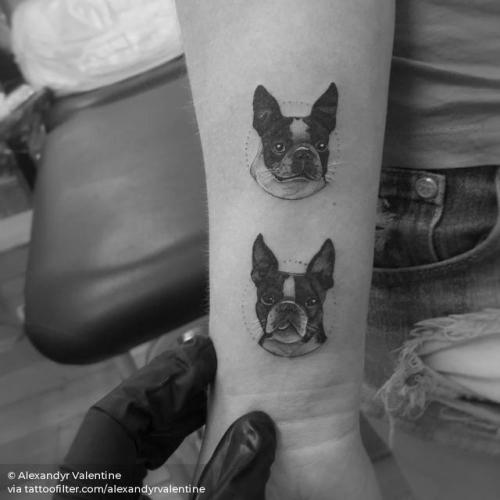 By Alexandyr Valentine, done at Seventh Circle Studio, Brisbane.... small;pet;dog;patriotic;single needle;animal;france;french bulldog;facebook;twitter;portrait;inner forearm;alexandyrvalentine