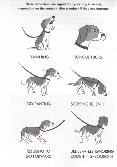 Canine Body Language Chart
