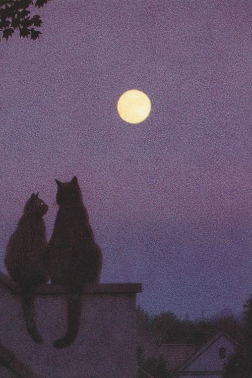 dadalux:“Full moon” by Quint Buchholz