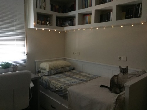 the-cozy-room:via the-cozy-space