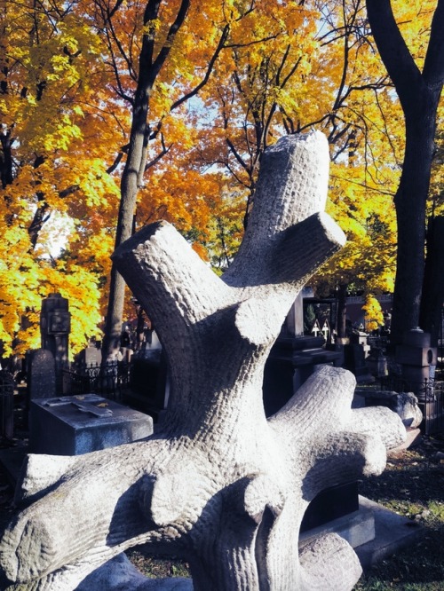 frankensteinsbrides:October vibes. The Old Donskoye Cemetery...