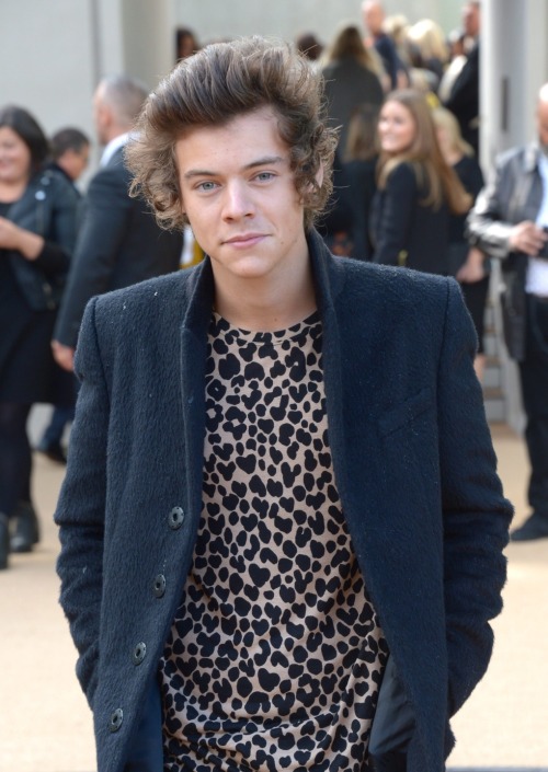 harry styles cheetah shirt