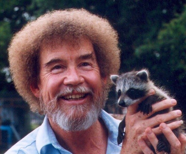 bob ross racoon