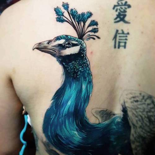By Nick Noonan, done at Left Hand Path Tattoos, Christchurch.... nicknoonan;peacock;big;animal;back;bird;facebook;realistic;twitter