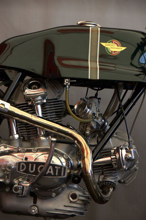 junction-wtf:Ducati 750 Sport