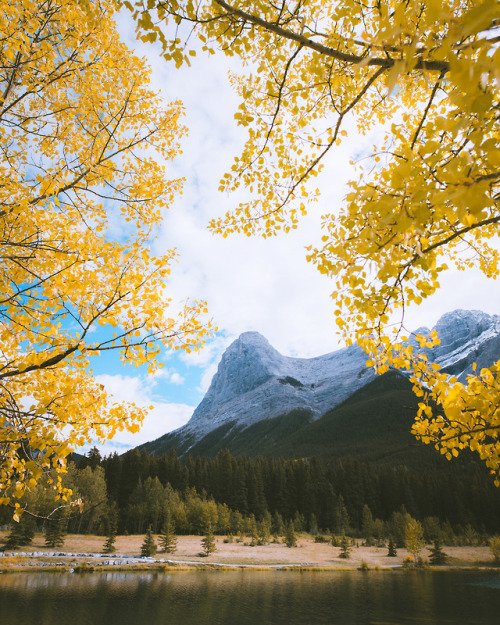 escapekit:Fall in Alberta . Seattle-based...