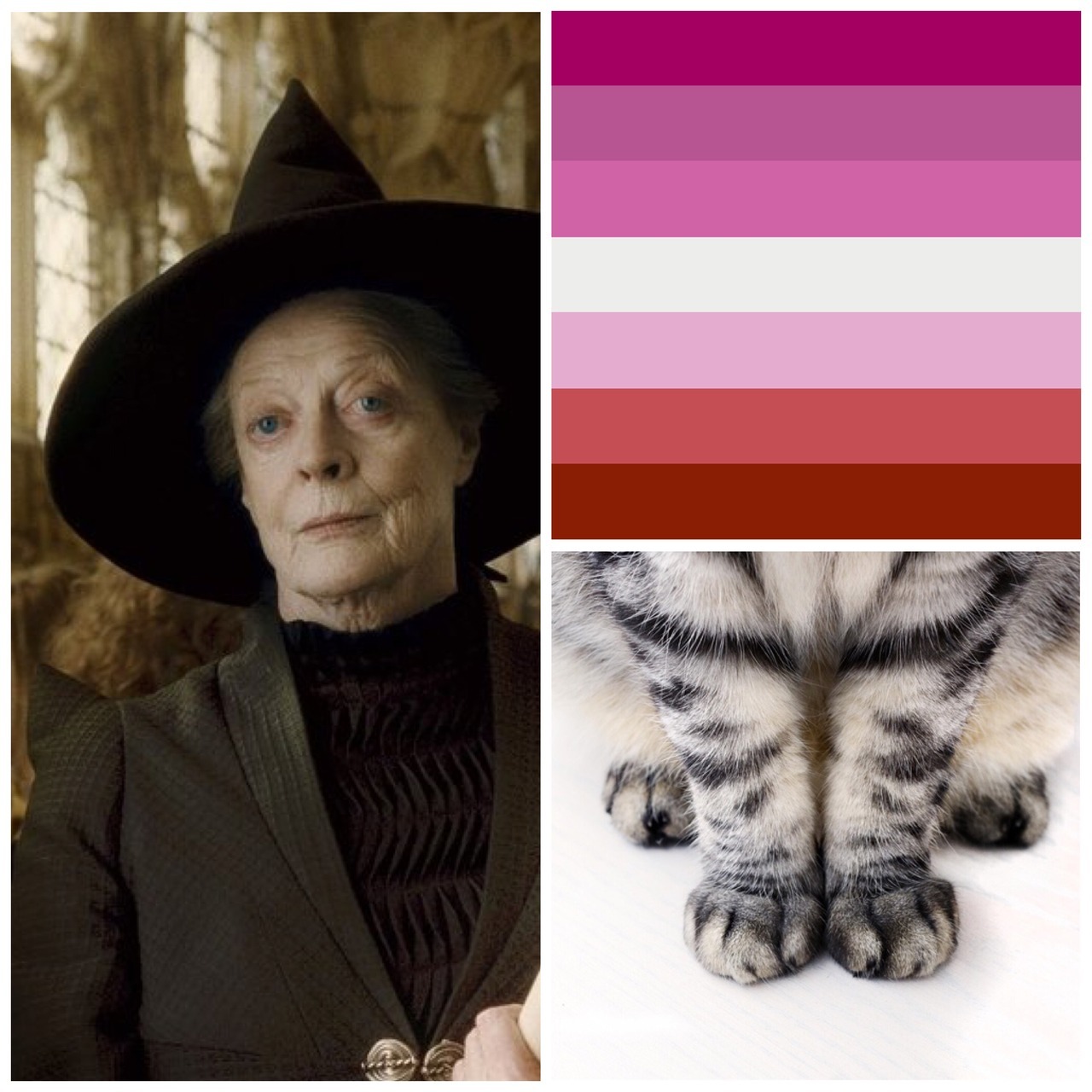 lesbian stories by minerva Sylvia bald lesbian