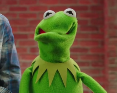 KERMIT FACE | Tumblr