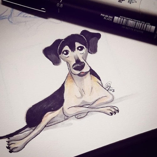 Desenhando minha cachorrinha, com marcadores, ou pelo menos...