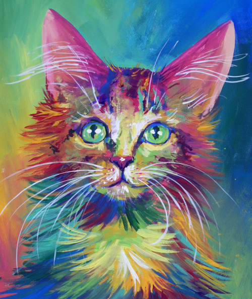 rainbow cat on Tumblr