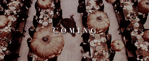 motionpicturesource:motionpicturesource’s Halloween countdown:...