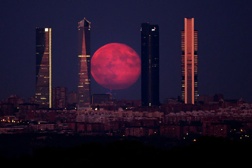 untrustyou:The moon shines through the Four Towers Madrid...