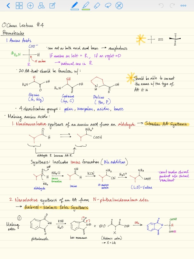 Organic Chemistry Notes, Lecture 4, MCAT Prep... - Notes Aesthetic