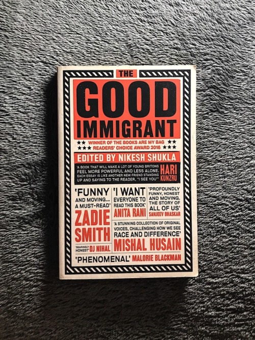 the good immigrant authors