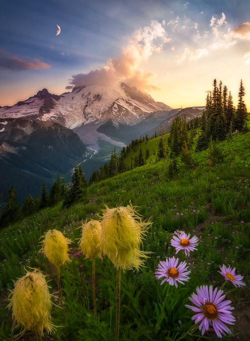 coiour-my-world:Storybook ~ Jeff Lewis