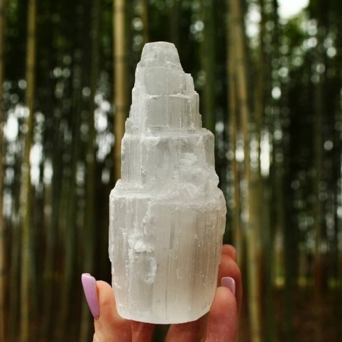 geologyrocksandminerals:Small selenite towers are here! We now...