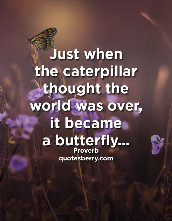 Just when the caterpillar thought the world was... | QuotesBerry: Hi ...