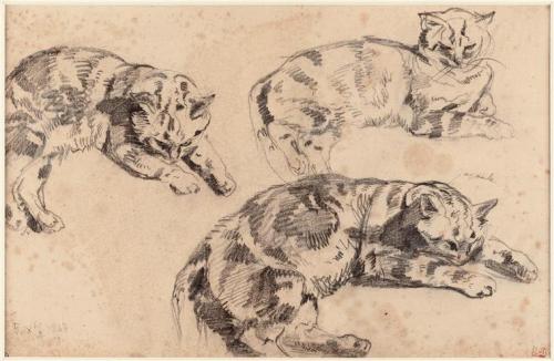 art-nimals:Eugène Delacroix, Three studies of cats, 1843,...