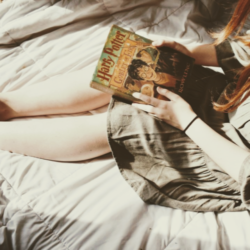 puffedupkicks:Bookworm Hufflepuff + cats aesthetic for...