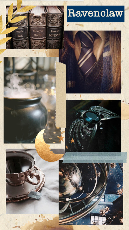 thebookishgirlworld