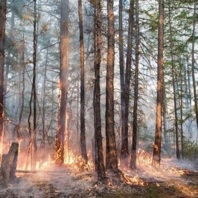 Last Month Was the Hottest Ever Recorded