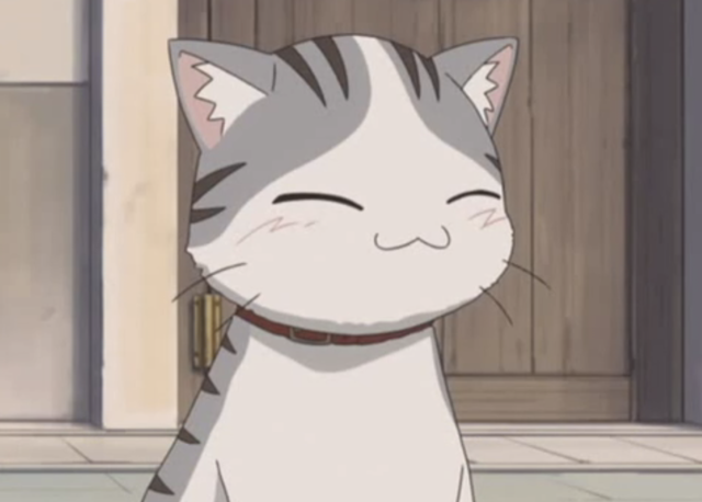 Todayâ€™s anime cat of the day is: Gray from... - Anime Cat of the Day ðŸ ¾