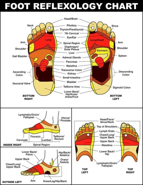 sashacoki:THIS IS WHY YOU NEED TO MASSAGE YOUR FEET BEFORE... tumblr pbjlnmg60l1wvilqto1 500 - sashacoki:THIS IS WHY YOU NEED TO MASSAGE YOUR FEET BEFORE...