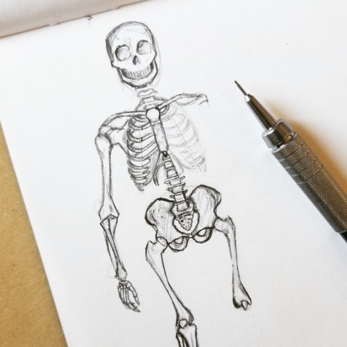 skeleton drawing on Tumblr