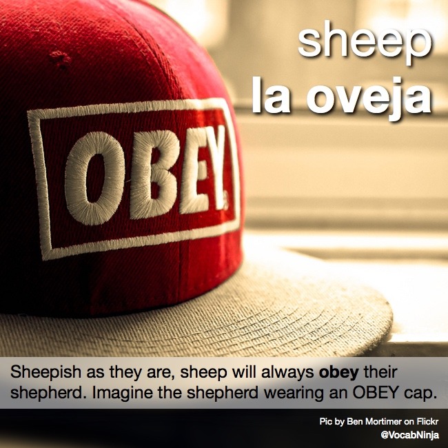 obey me sheep