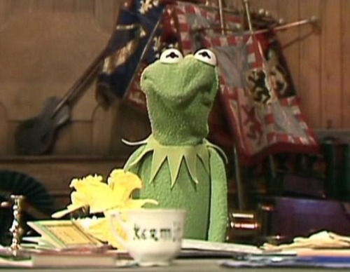 babyspicegf:babyspicegf:controversial opinion kermit the frog popularised the *looks into the...