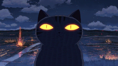 tumblr_obloirzrhP1rb1rgoo1_500.gif