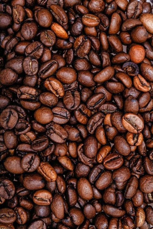 coffee beans aesthetic Tumblr