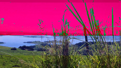 glitchphotography