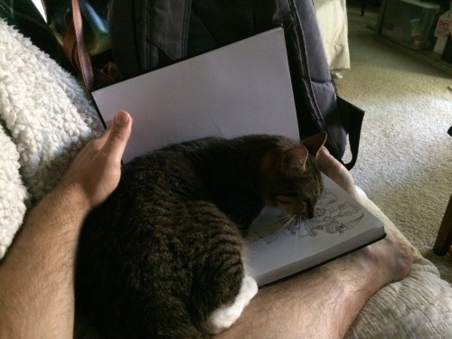 thedurvin:getoutoftherecat No, it’s not time for drawing any...