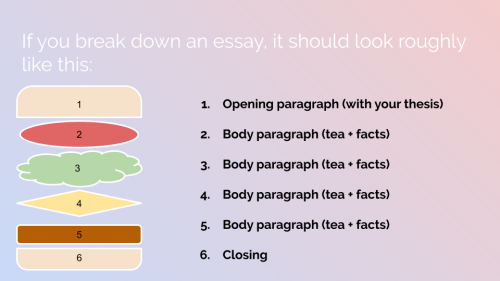 Tumblr essay help