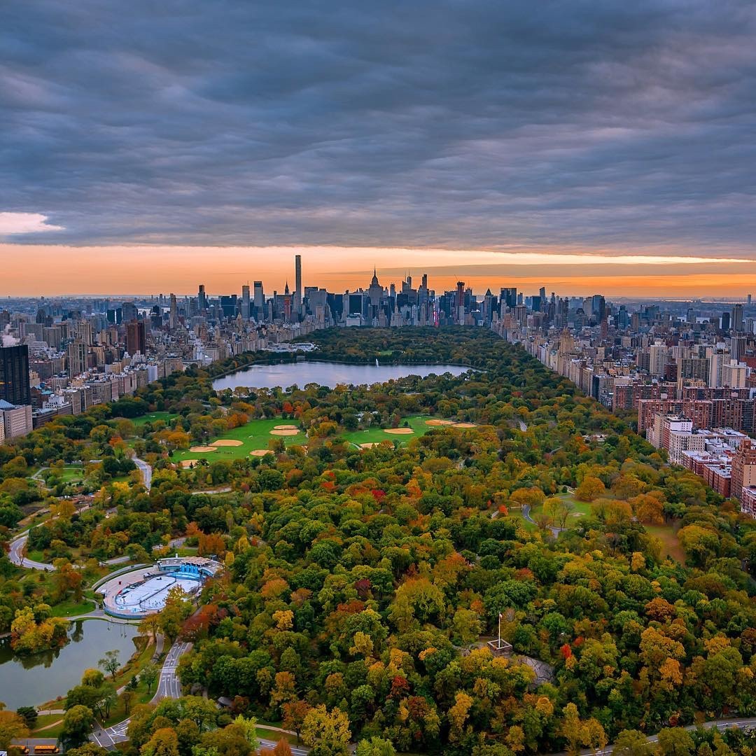 Birds View Of Central Park By Greg Rox Photography