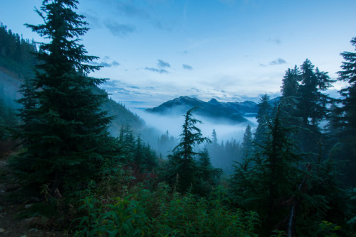 silvaris:Brandywine Meadows | BC  by Bruno LEVEQUE