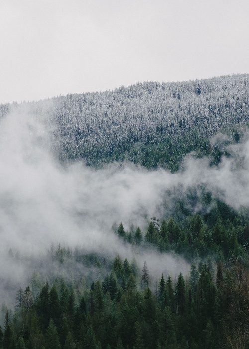 emanuelsmedbol:Watching the snow come down the mountain