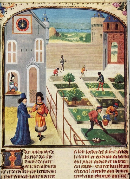 French castle garden, 15th century