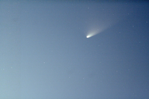 malovelle:Comet Panstarrs