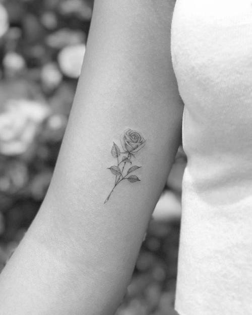 By Christopher Vasquez, done at West 4 Tattoo, Manhattan.... vasquez;flower;small;single needle;inner arm;tiny;rose;ifttt;little;nature
