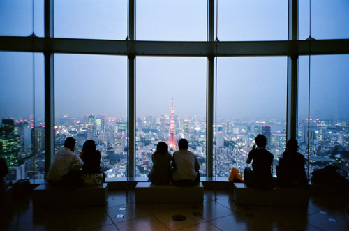 ourbedtimedreams:東京シティビュー Tokyo City View by かがみ～ Via...