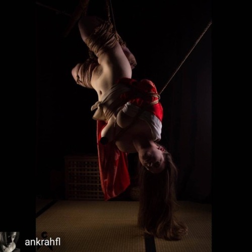 wykd-dave:@ankrahfl Suspension bound. Rope by @wykd_dave and...