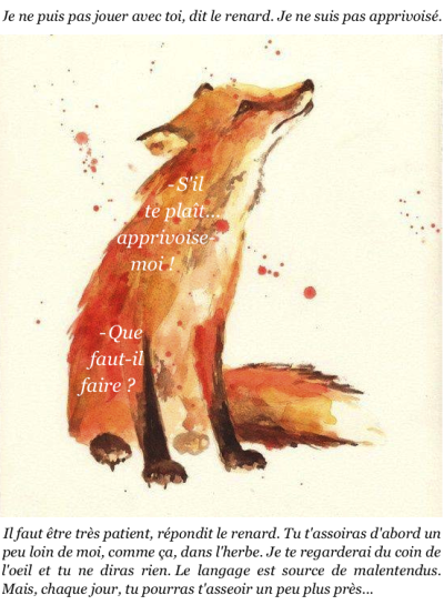 Le Renard Tumblr