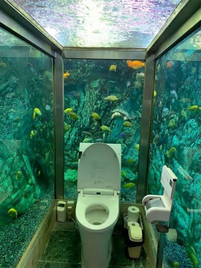 A Japanese cafe spent $270,000 to create the ultimate woman’s loo<br /><br /><br />Whimsical isn’t even the apt word when it comes to describing a few of Japan’s quirky architectural wonders. Extending on the same lines and drawing inspiration from the marine life is the Hipopo Papa (formerly known as Mumin Papa) café that recently became popular owing to its women’s loo. Yes, that’s right! Surrounded by a ton of fish, the toilet boasts an aquarium setting of sorts that also happens to be the sole reason for its growing popularity.<br /><br />A well-known dating spot on the Hayashizaki Matsue Coast, the Hipopo Papa café is situated in Akashi and is probably the only café of its kind to house an aquarium toilet. The famed loo is surrounded by exotic fish on three sides and is the top-most attraction for many tourists who visit here. Apparently, the owner of the café spent over $270,000 to create the mesmerizing toilet and could only perfect it as it stands today after several trials. The lavatory was created to offer visitors a divine feeling of relieving themselves as one would while swimming in the ocean.<br /><br />The ‘women’s only’ loo, however, comes with its own set of drawbacks. It is said that some patrons end up spending way more time in the aquarium toilet while others refuse to enter the premise and find it rather daunting to do the task with hundreds of sea creatures (including a male turtle) gazing at them! However, we for one would highly recommend a visit to this fantabulous place! Keep it on your list when in Japan next! A Japanese cafe spent $270,000 to create the ultimate woman’s loo<br /><br /><br />Whimsical isn’t even the apt word when it comes to describing a few of Japan’s quirky architectural wonders. Extending on the same lines and drawing inspiration from the marine life is the Hipopo Papa (formerly known as Mumin Papa) café that recently became popular owing to its women’s loo. Yes, that’s right! Surrounded by a ton of fish, the toilet boasts an aquarium setting of sorts that also happens to be the sole reason for its growing popularity.<br /><br />A well-known dating spot on the Hayashizaki Matsue Coast, the Hipopo Papa café is situated in Akashi and is probably the only café of its kind to house an aquarium toilet. The famed loo is surrounded by exotic fish on three sides and is the top-most attraction for many tourists who visit here. Apparently, the owner of the café spent over $270,000 to create the mesmerizing toilet and could only perfect it as it stands today after several trials. The lavatory was created to offer visitors a divine feeling of relieving themselves as one would while swimming in the ocean.<br /><br />The ‘women’s only’ loo, however, comes with its own set of drawbacks. It is said that some patrons end up spending way more time in the aquarium toilet while others refuse to enter the premise and find it rather daunting to do the task with hundreds of sea creatures (including a male turtle) gazing at them! However, we for one would highly recommend a visit to this fantabulous place! Keep it on your list when in Japan next!
